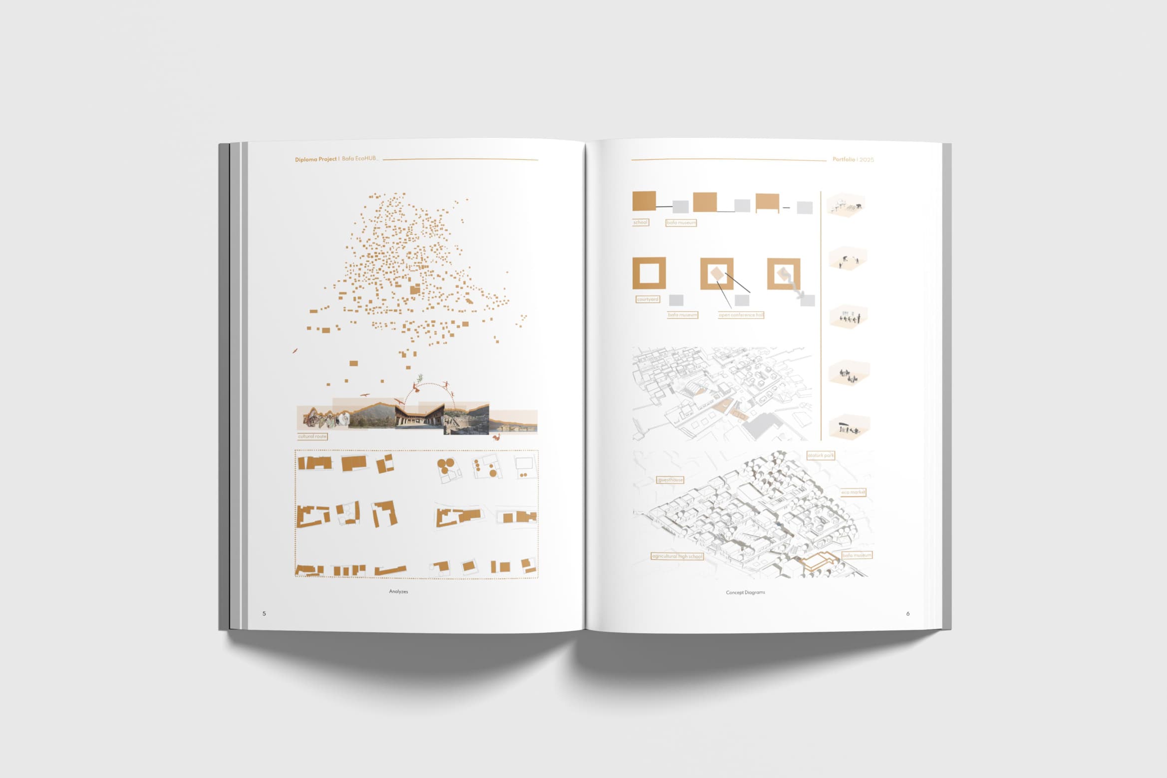 Architectural project showcase